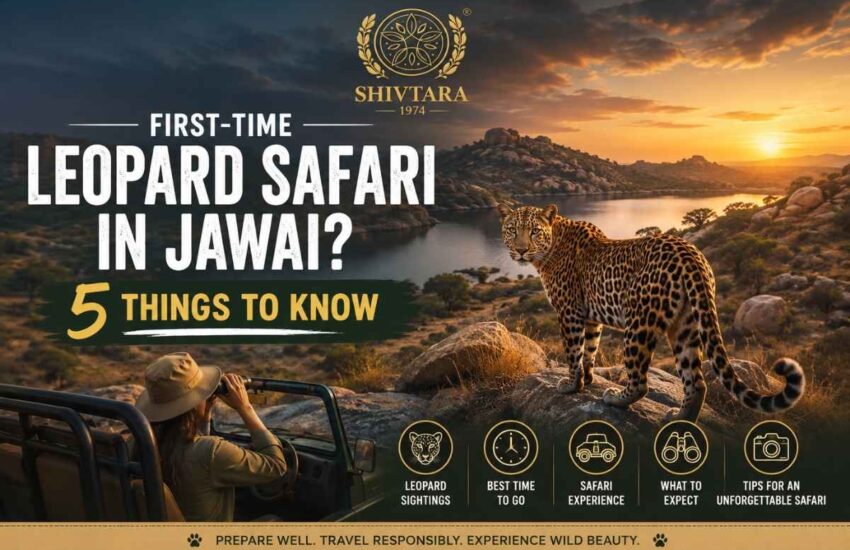 Leopard Safari in Jawai 5 Things Every Visitor Should Know