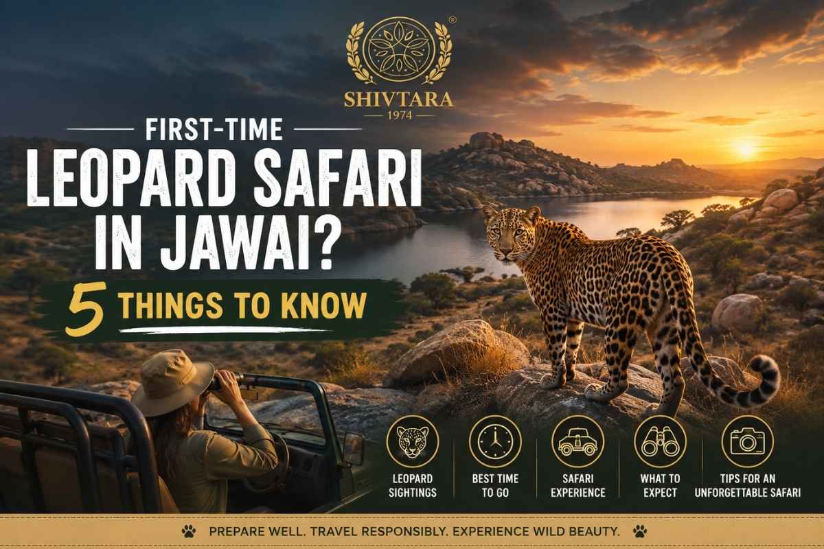 Leopard Safari in Jawai 5 Things Every Visitor Should Know