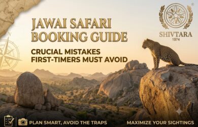 Jawai Safari Booking guide